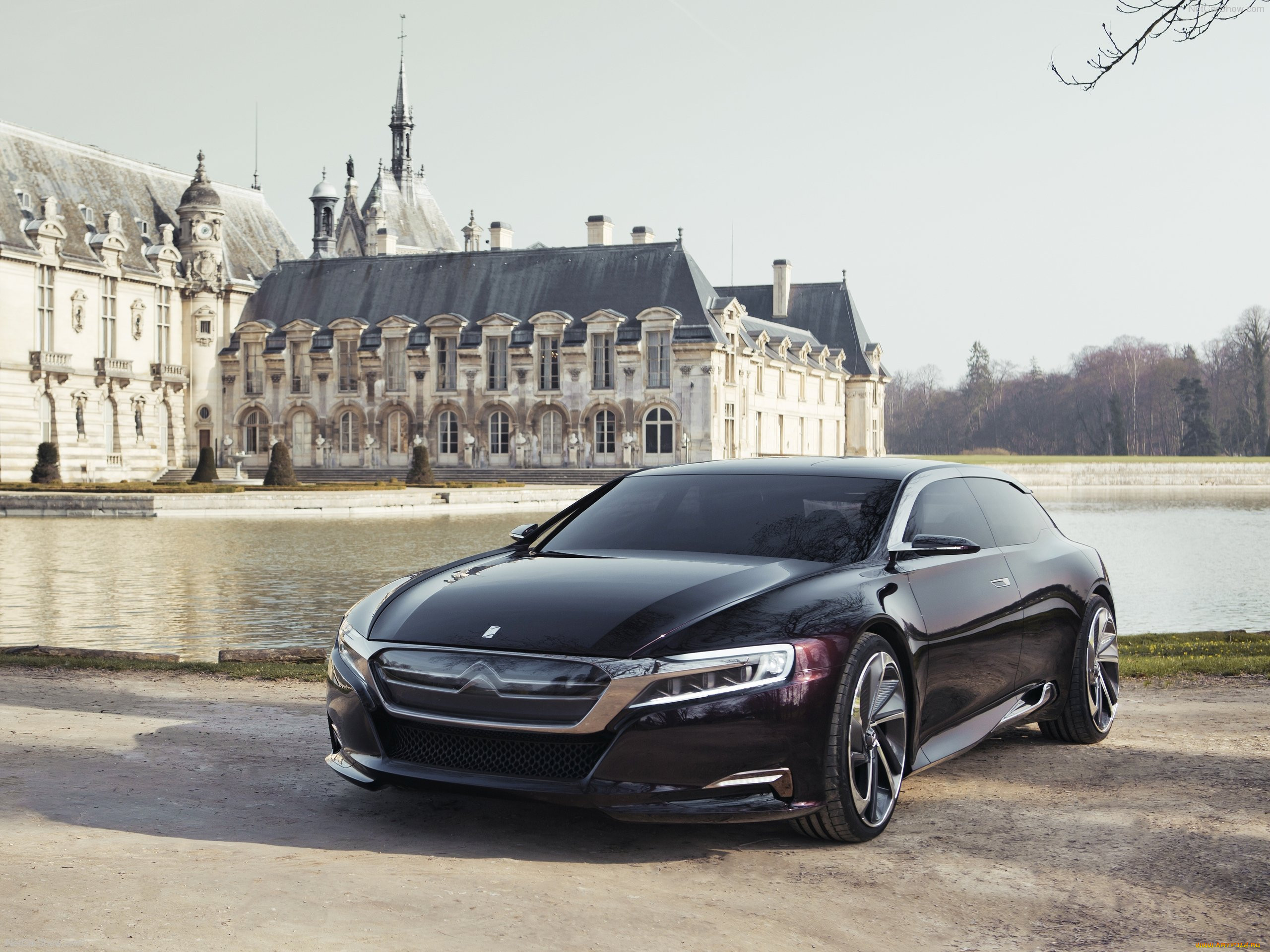 , citroen